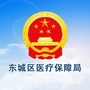 东城医保ico