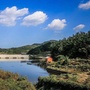 环翠农业农村ico