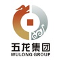 五龙投资集团ico