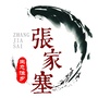 资阳张家塞ico