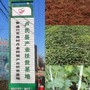 卢氏丹盛中药材合作社ico