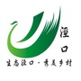 泾口发布ico