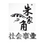 朱家角社会事业ico