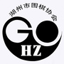 湖州市围棋协会ico