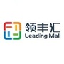东凤领丰汇ico