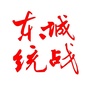 东城统战ico
