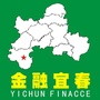 金融宜春ico