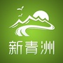 青洲人新青洲ico