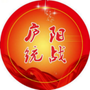 庐阳统战ico