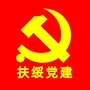 扶绥党建ico