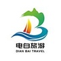 游电白ico