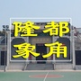 隆都象角ico