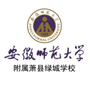 安徽师范大学附属萧县绿城学校ico