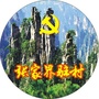 张家界驻村ico