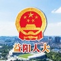 益阳人大ico