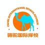 骆驼国际择校ico