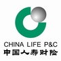 中国人寿财险大庆中心支公司ico