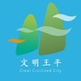 文明王平公众号ico