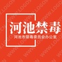河池禁毒ico