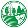 江门市东湖公园ico