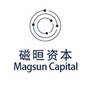 磁晅资本ico