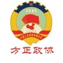 方正政协ico