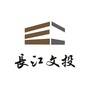长江文地投ico