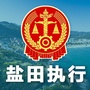 盐田执行ico
