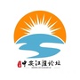 中安江淮文学ico