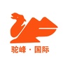 驼峰看世界ico