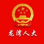 龙湾人大ico