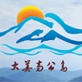 大美高公岛ico