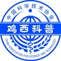 鸡西科普ico