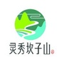 灵秀坎子山ico