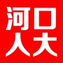 西固河口人大ico