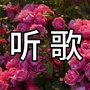 黄河情歌公众号ico