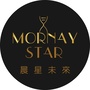 晨星未来ico