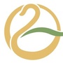 潍坊金河新时代ico