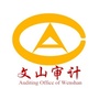 文山审计ico