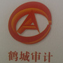 鹤城审计ico
