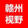赣州视野ico