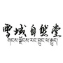 雪域自然堂ico