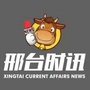 邢台时讯公众号ico