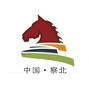 察北三号军马场ico
