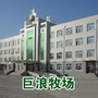巨浪牧场公众号ico