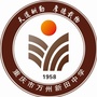 重庆市万州新田中学ico