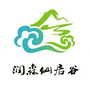 海南润森仙居谷文化旅游区公众号ico