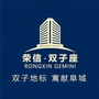 荣信双子座ico