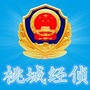 衡水桃城经侦ico