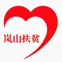 岚山扶贫开发ico